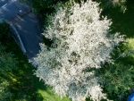 DCIM/100MEDIA/DJI_0203.JPG