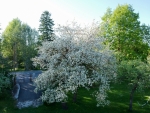 DCIM/100MEDIA/DJI_0205.JPG