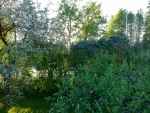 DCIM/100MEDIA/DJI_0237.JPG