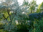 DCIM/100MEDIA/DJI_0238.JPG
