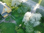 DCIM/100MEDIA/DJI_0251.JPG