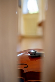 IMG_6082-2021-06-10T13_20_43.186