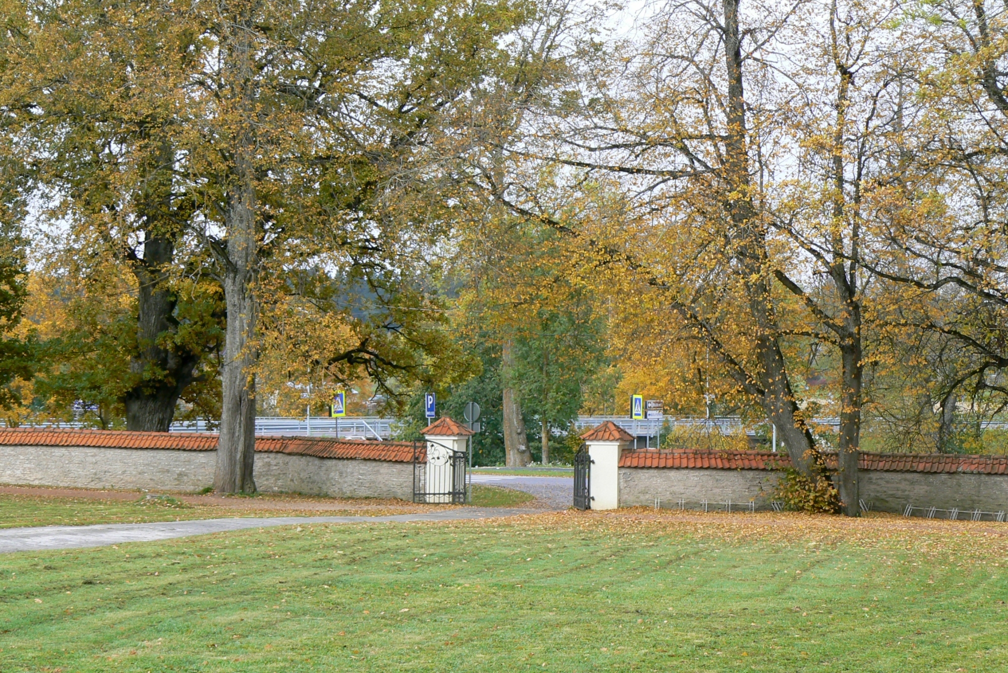 P1130558-01